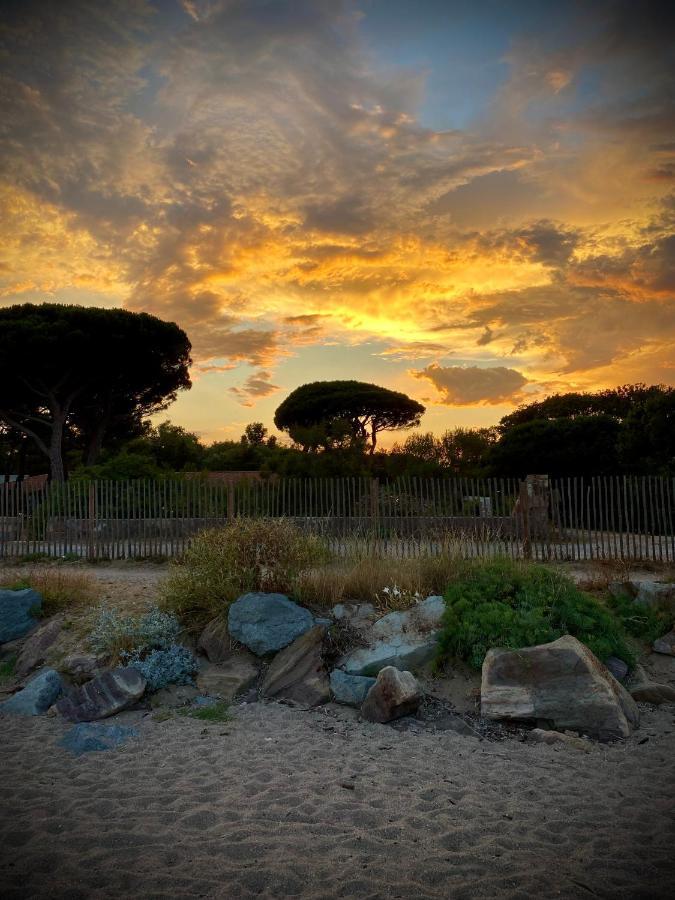 Port-Frejus, Le Consul, Appartement 2 Pieces Climatise, Terrasse & Parking Exterior foto