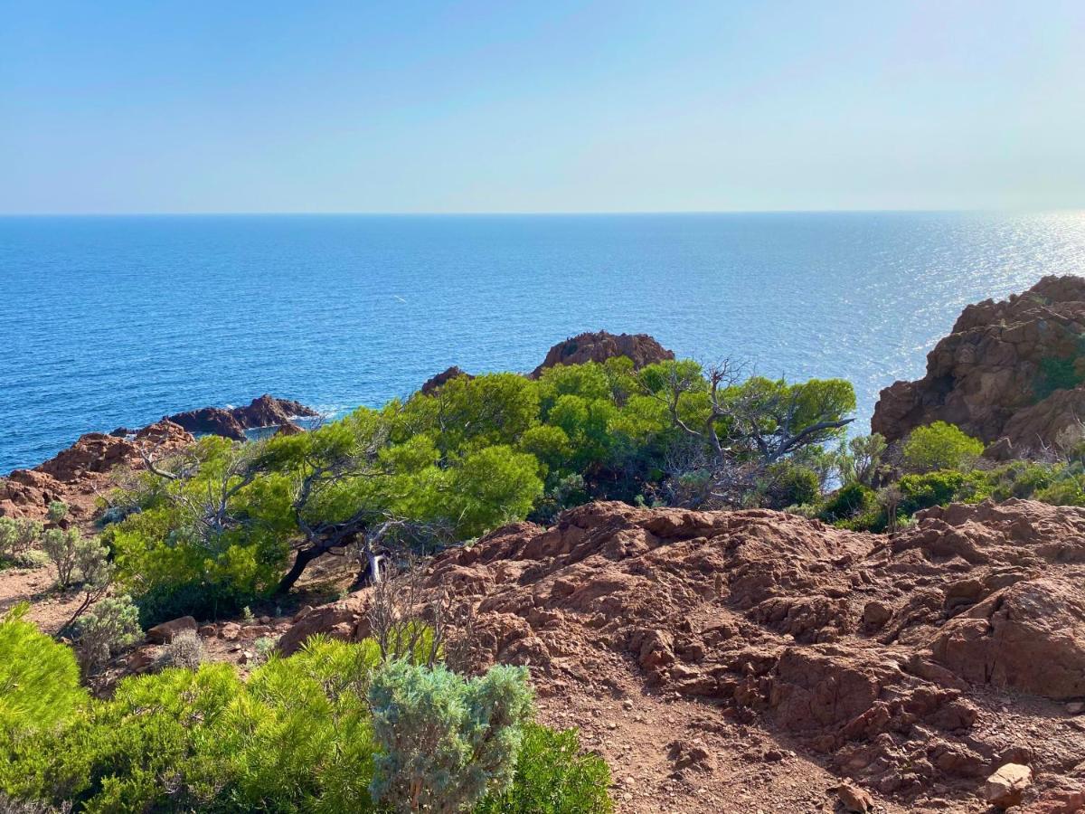 Port-Frejus, Le Consul, Appartement 2 Pieces Climatise, Terrasse & Parking Exterior foto
